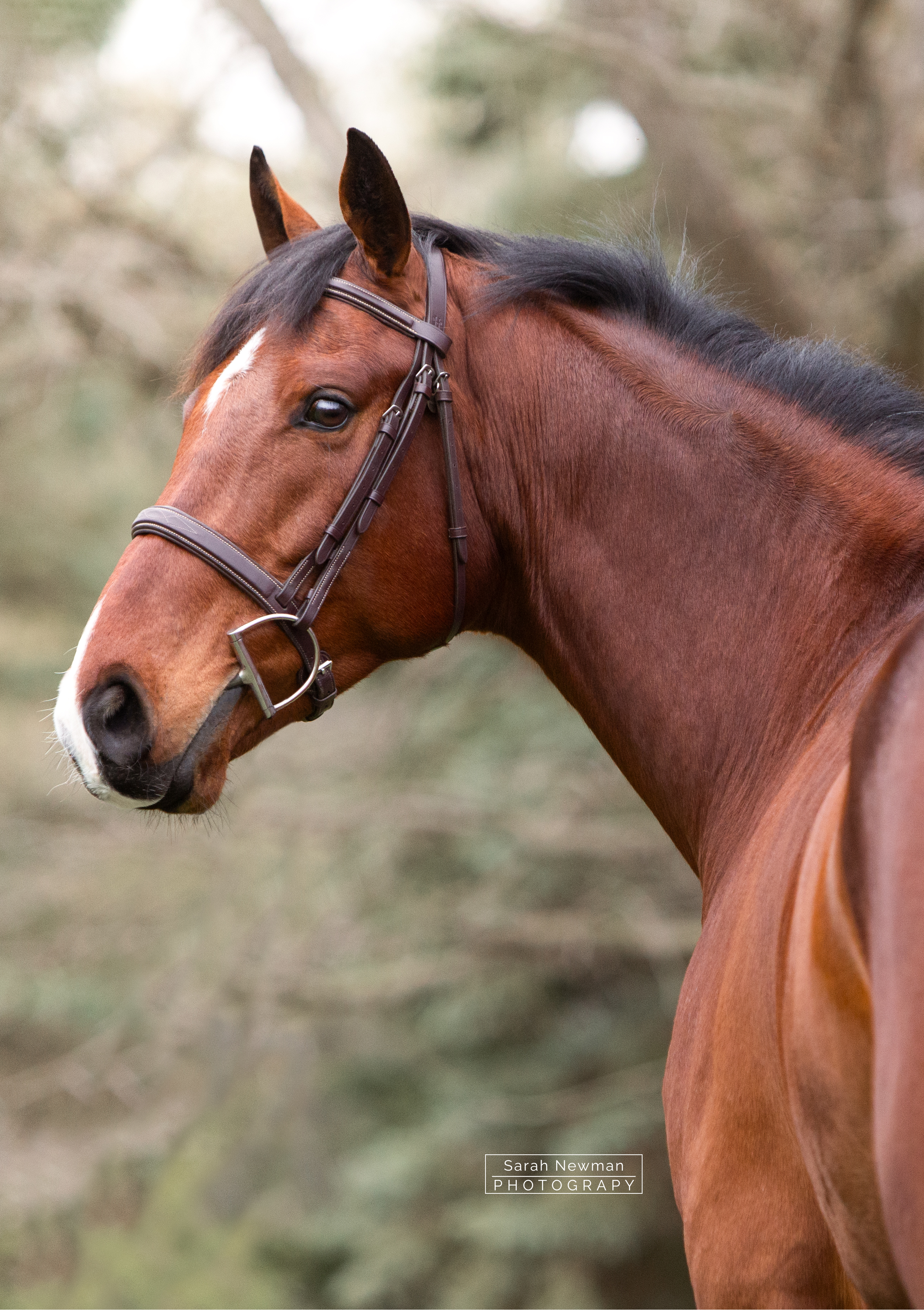 Sarah Newman Photography Crackers