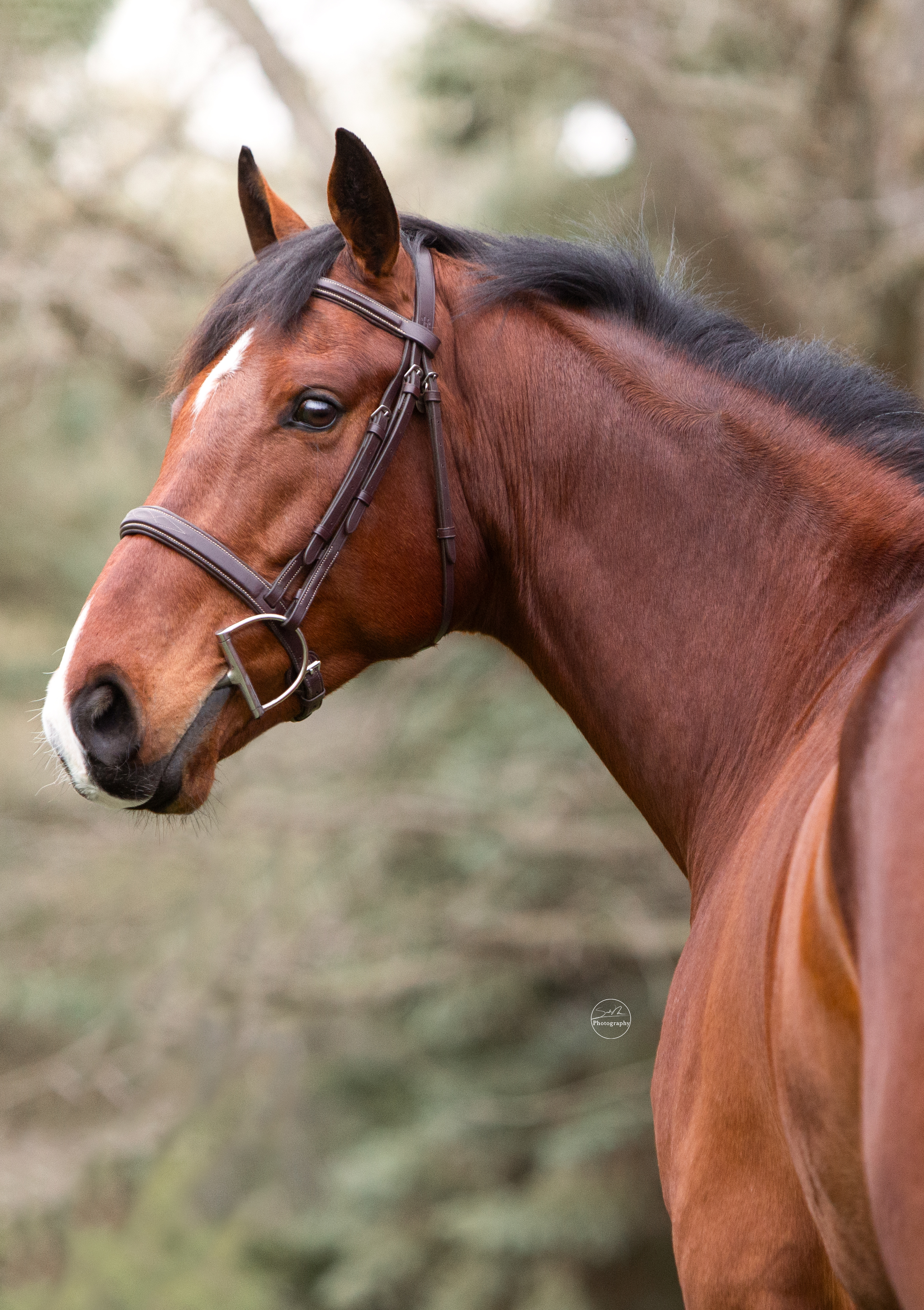 Sarah Newman Photography Crackers