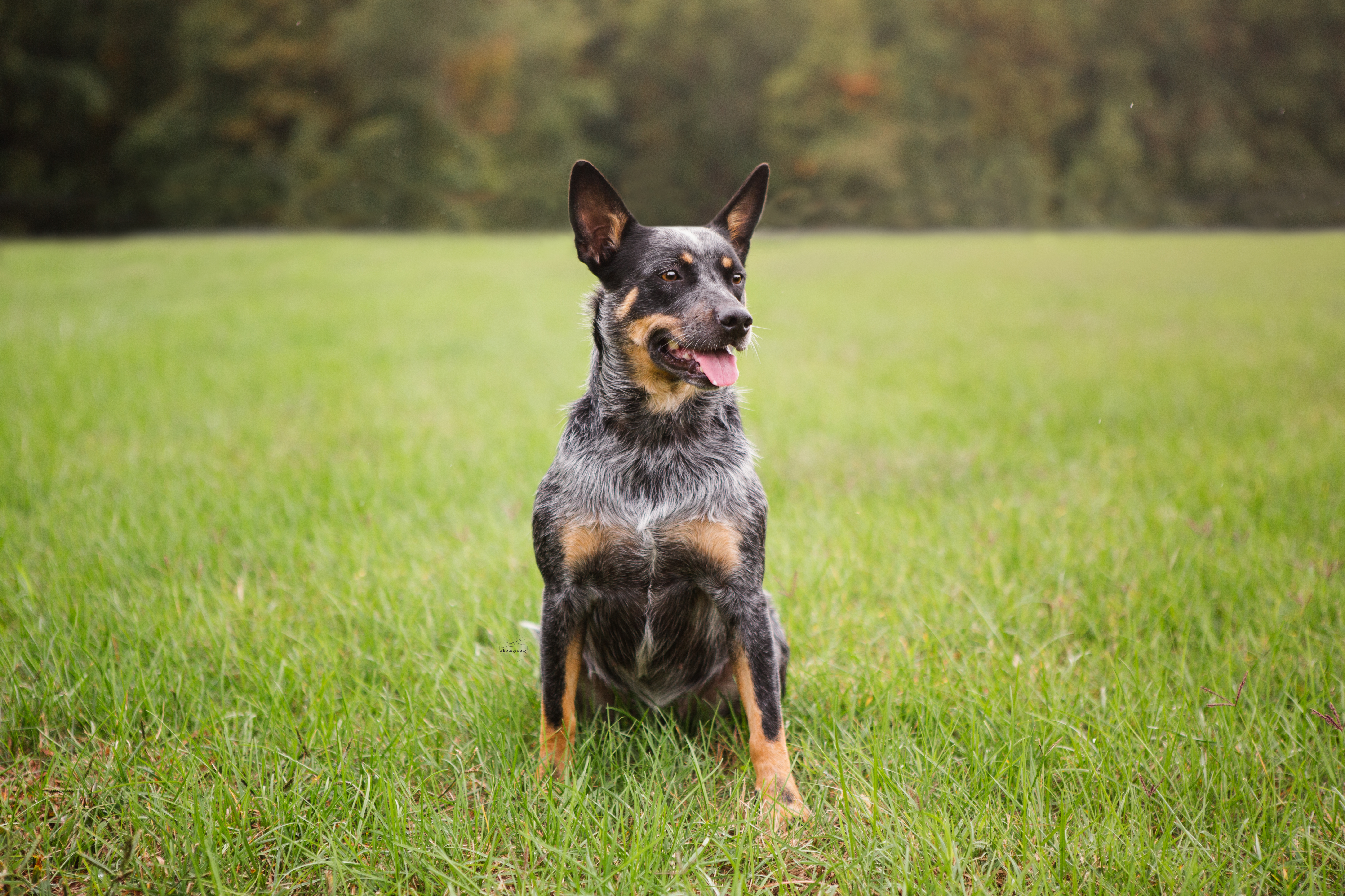 Sarah Newman Photography Lainey