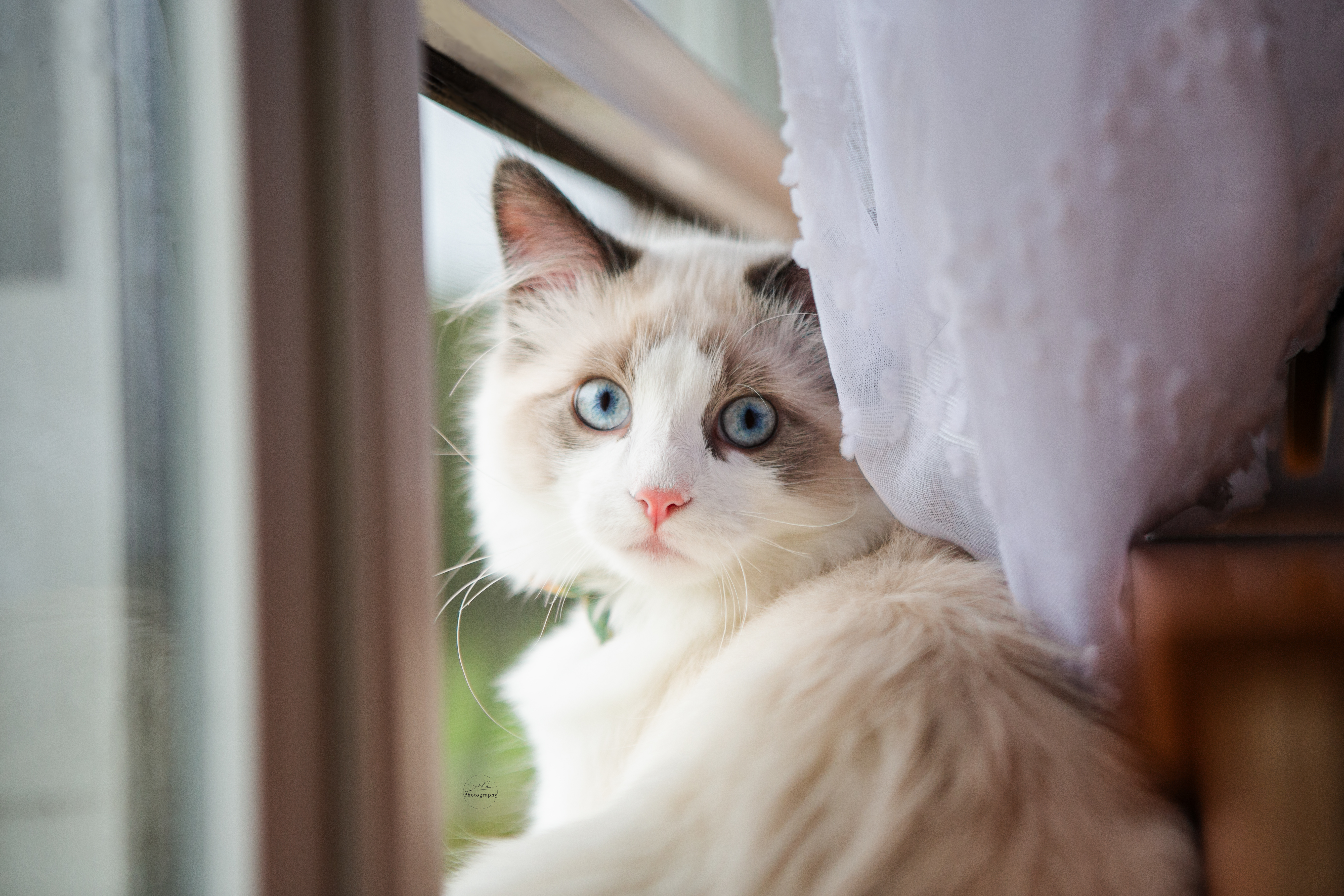 Sarah Newman Photography Wilson