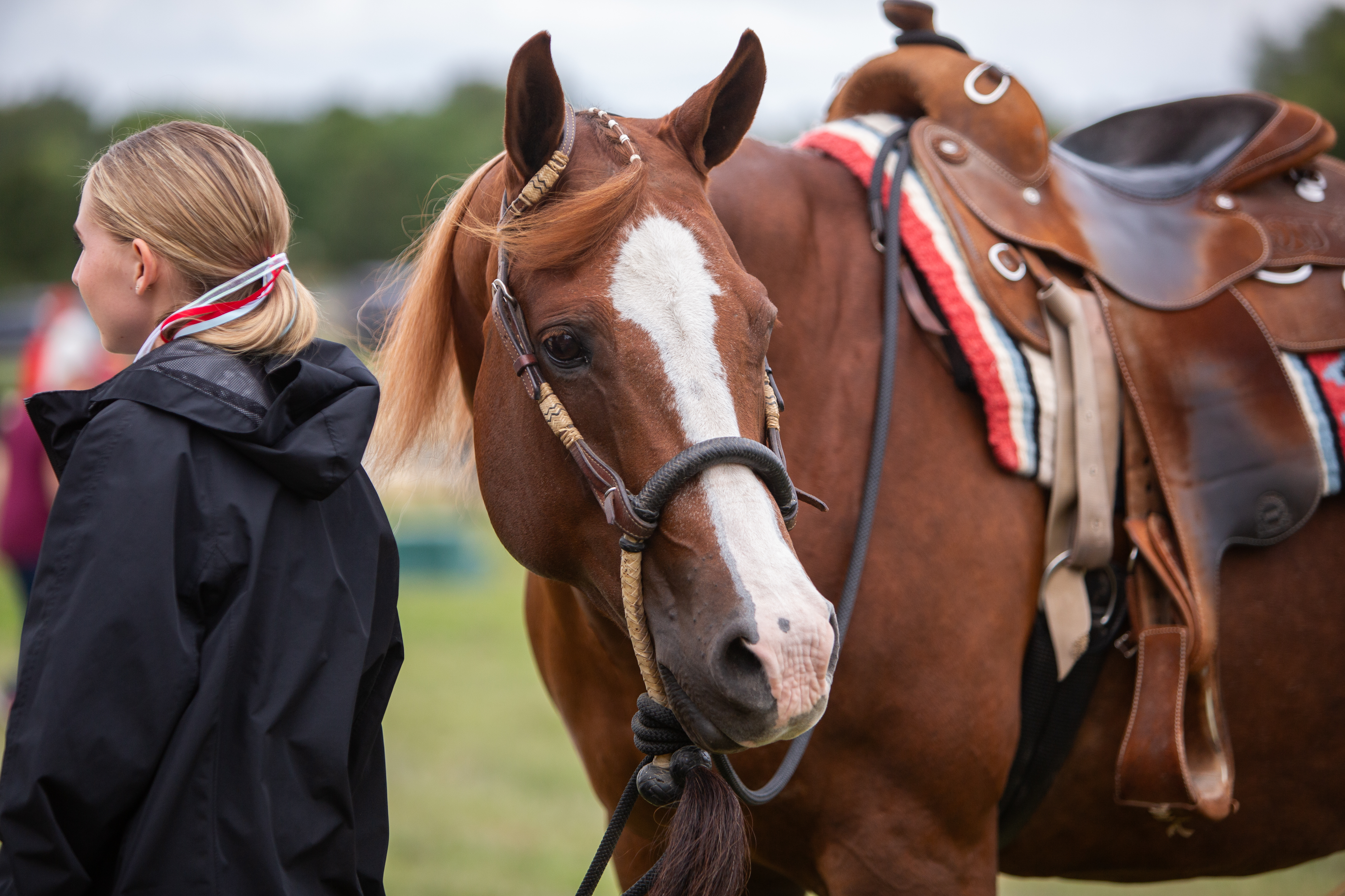 Sarah Newman Photography DSU Horse